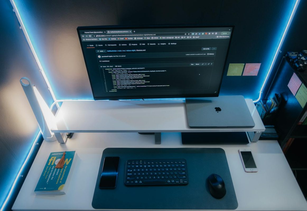 Core web vitalis za WordPress prikaz - developer setup sa kodom na ekranu.