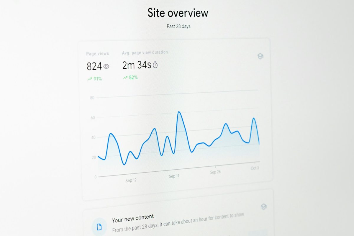 Analitika sajta prikazana na ekranu sa grafikonima performansi, koja ilustruje poređenje poslovnih modela reseller vs agency hosting i donošenje odluka na osnovu podataka.